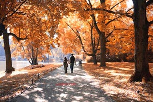 幸运在粤 瑞幸咖啡广东省门店总数突破4000家,幸运在粤 瑞幸咖啡广东省门店总数突破4000家