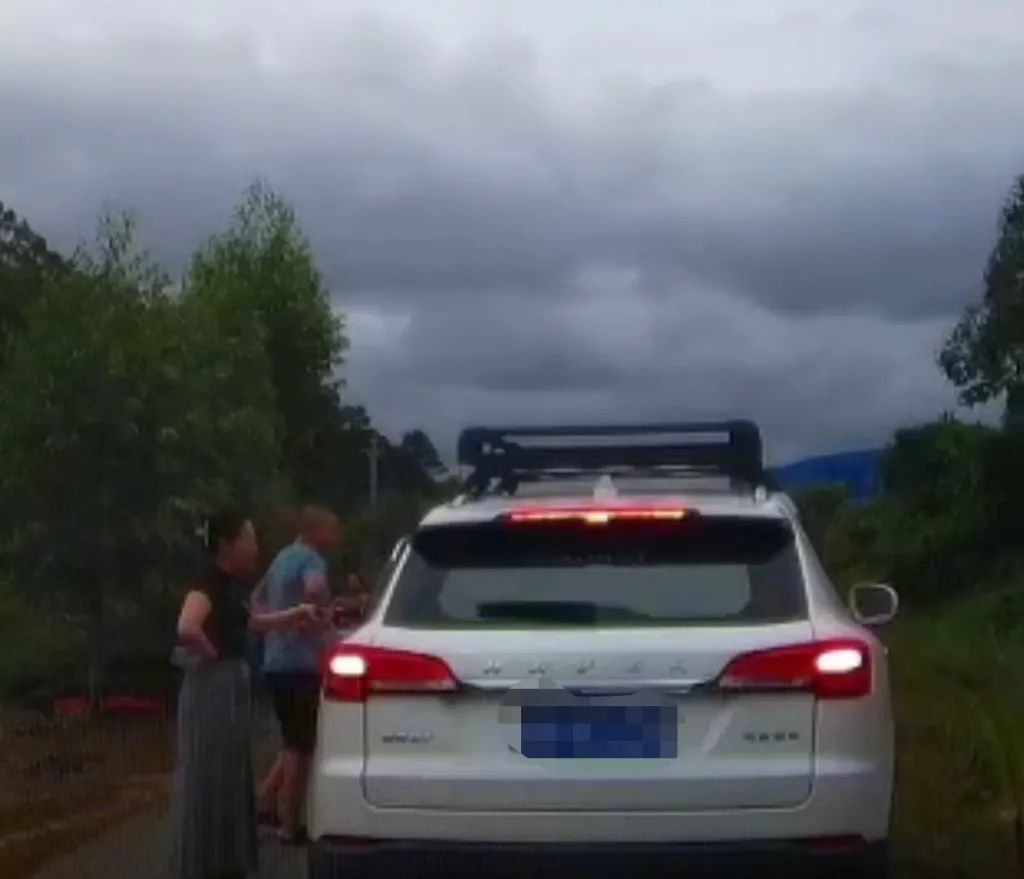 马上评｜神通广大的“奔驰女司机”到底什么来头